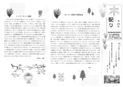 木配り 202便です。ご覧ください。
