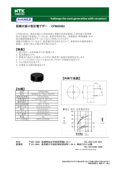 CPM202B2 (PDFファイル：112KB)