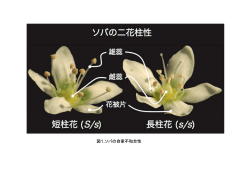 資料2
