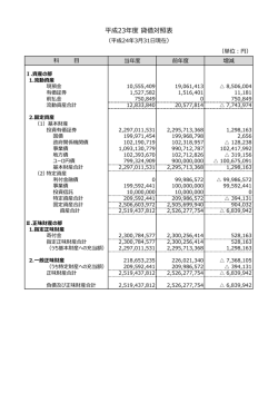 貸借対照表 [PDF:357 kB]