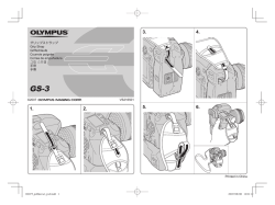 GS-3 INSTRUCTION MANUAL