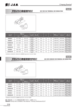 平形250単極用REC（174KB）