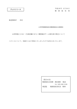 プレスリリース (PDF documentファイル サイズ