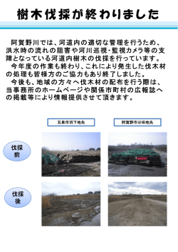 樹木伐採が終わりました