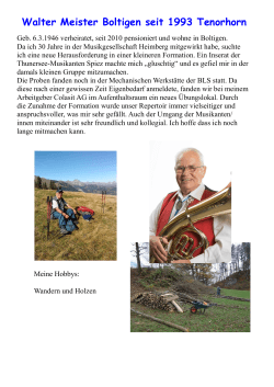 Walter Meister Boltigen seit 1993 Tenorhorn
