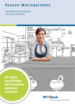 Hessen-Mikrodarlehen - Wirtschafts