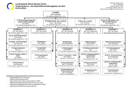 Organisationsstruktur - Rhein-Neckar