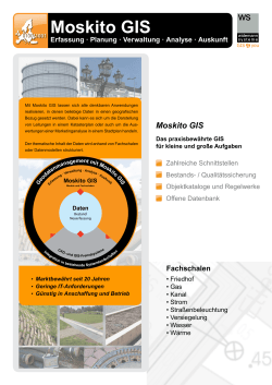 Moskito GIS - Widemann Systeme GmbH