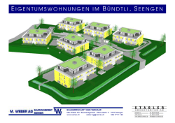 eigentumswohnungen im bündtli, seengen