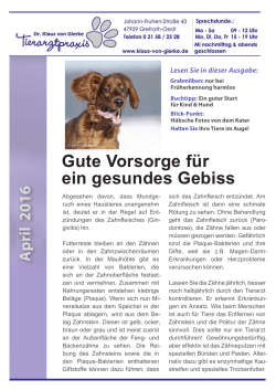 praxismagazin lesen - Tierarztpraxis Dr. Klaus von Gierke
