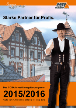 Herunterladen als PDF