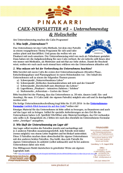 CaEx_Newsletter#3 - Planung Unternehmenstag
