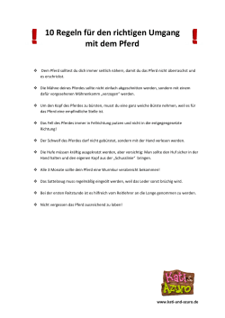 10 Regeln 10 Regeln für den richtigen Umgang mit