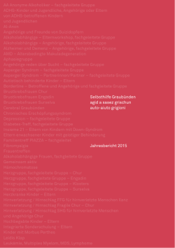 Jahresbericht 2015 - Selbsthilfe Graub&uuml;nden