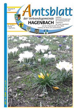 13/2016 - Hagenbach