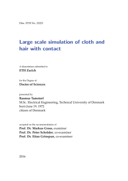 Large scale simulation of cloth and hair with - ETH E