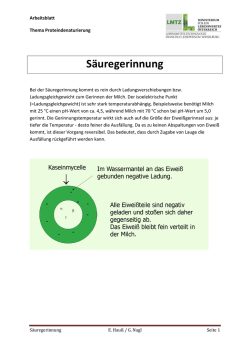 Saeuregerinnung Arbeitsblatt