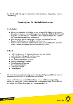 Guides (m/w) f&uuml;r die BVB-Stadiontour