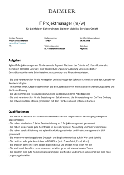 IT Projektmanager (m/w)