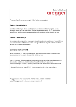 Inseratvorlage Teamleiter Elektroinstallateur 1