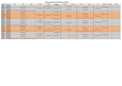 Platzbelegungsplan SV Bliesmengen