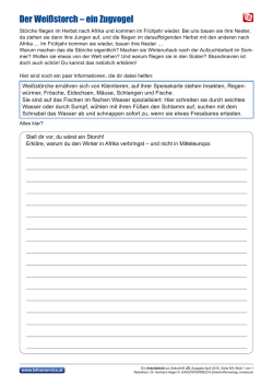 Der Weißstorch – ein Zugvogel
