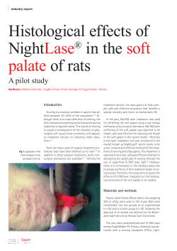 Histological effects of NightLase® in the soft palate of