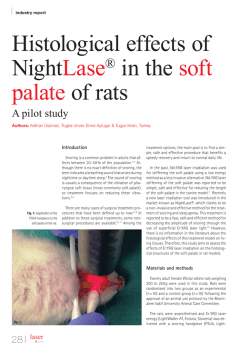 Histological effects of NightLase&reg; in the soft palate of