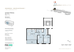 grundriss – neufeldstrasse 1