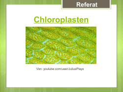 Chloroplasten - MeinReferat.de