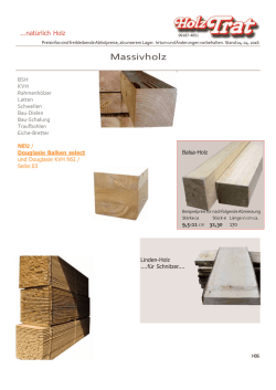 H06 Bauholz, BSH KVH - Holz