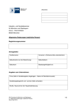 IDV-Formular 4.1 (nat&uuml;rliche Person)