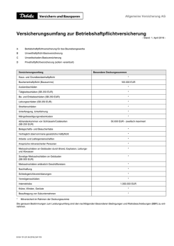 Besondere Bedingungen und Risikobeschreibungen zur