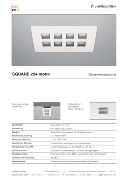 SQUARE 2 x 4 mono - Projektleuchten GmbH
