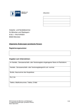 IDV-Formular 4.2 (juristische Person)