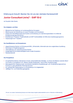 Junior Consultant (m/w)* - SAP IS-U
