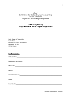 Antrag Förderfond Junge Kultur Siegen-Wittgenstein