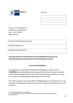IDV-Formular 3.1 - IHK M&uuml;nchen und Oberbayern