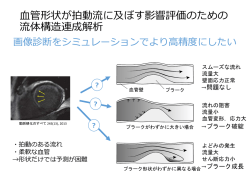 血管形状が拍動流に及ぼす影響評価のための流体構造連成解析 with