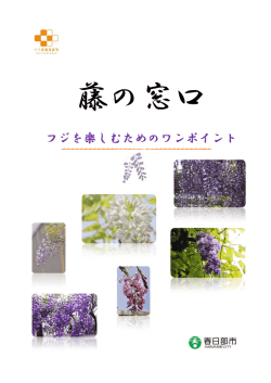 フジを楽しむためのワンポイント
