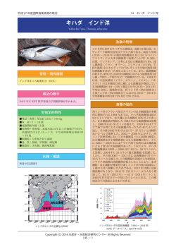 要約版PDF - 国際漁業資源の現況