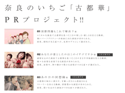 出演者のストーリーを紹介します。