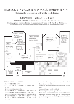 斜線のエリアのみ期間限定で写真撮影が可能です｡