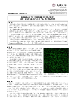 植物細胞の形づくりの謎を頭蓋骨の研究が解明？ 医学・植物