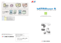 安全性試験システム(Mitox)
