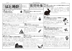 質問特集