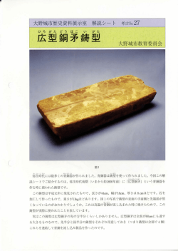 （ひろがたどうほこいがた）（PDF:202KB）