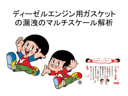 船舶用ディーゼルエンジン用ガスケットの漏洩のマルチスケール解析 with