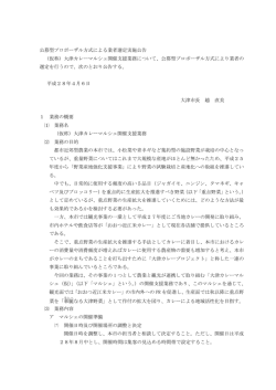 実施公告（PDF：285KB）