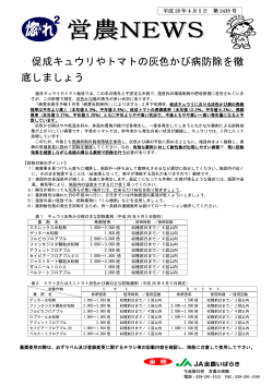 促成キュウリやトマトの灰色かび病防除を徹 底しましょう